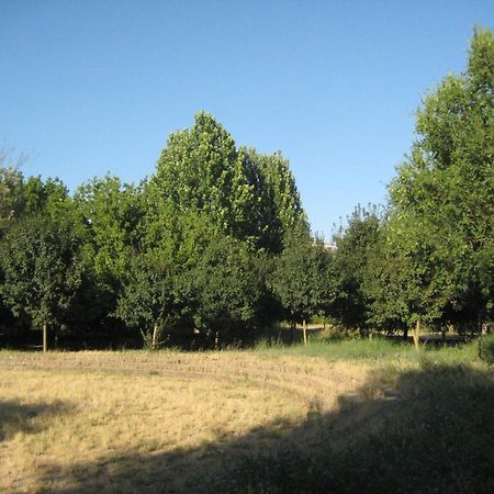 דירות רומא La Casa Di Emy מראה חיצוני תמונה